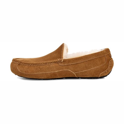 Ugg Men's Ascot | Sound Feet Shoes: Your Favorite Shoe Store