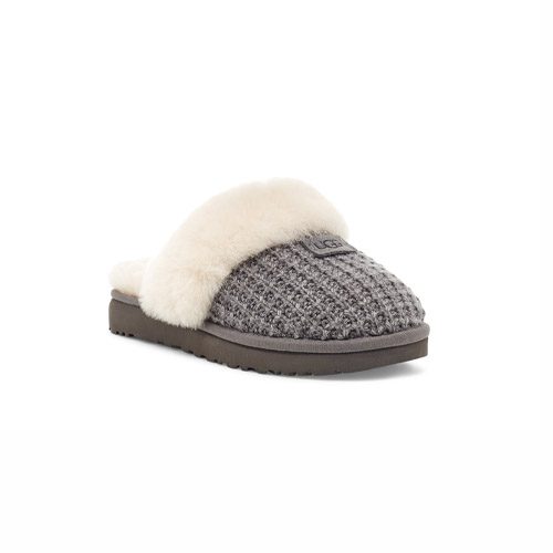 Ugg Women's Cozy | Sound Feet Shoes: Your Favorite Shoe Store