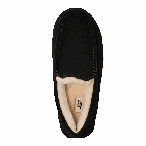 UGG Men's Ascot Slipper - Image 3